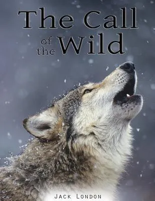 Jack London: The Call of the Wild (2013)