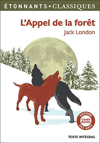 Jack London: L'Appel de la forêt (French language, 2013, Flammarion)