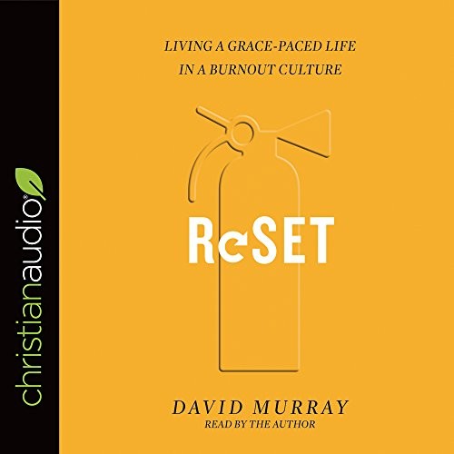 David Murray - undifferentiated: Reset (AudiobookFormat, 2017, christianaudio)