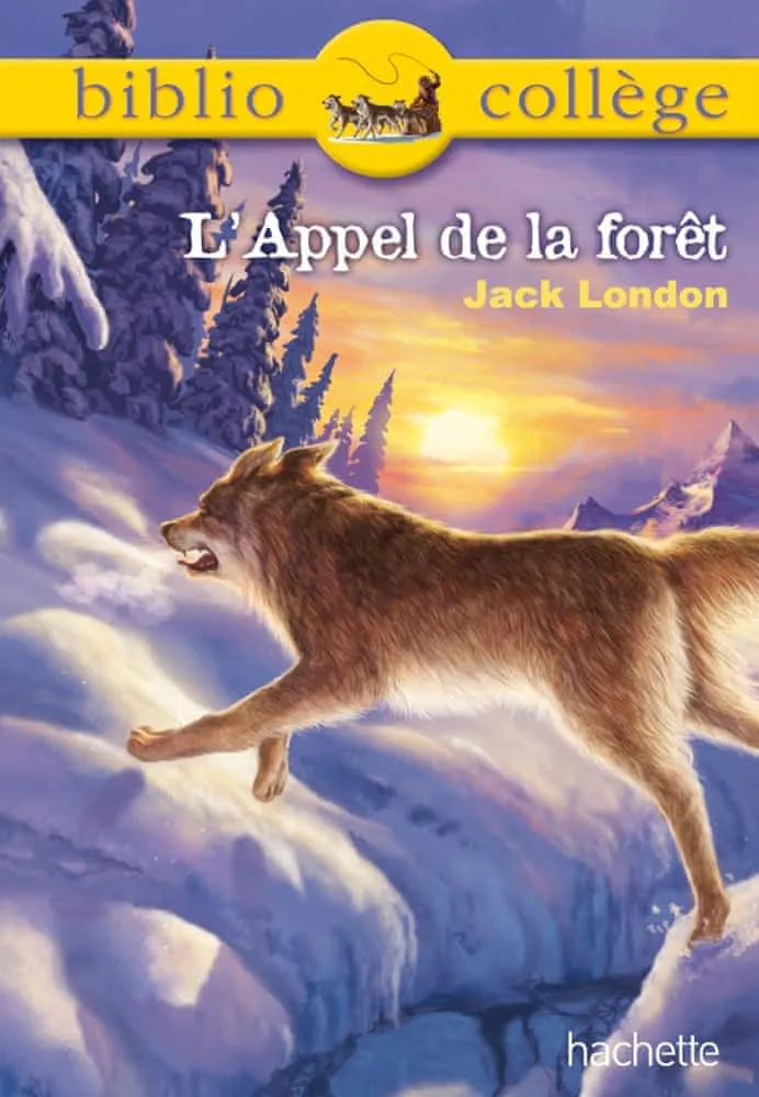 Jack London: L'Appel de la forêt (French language, 2013, Hachette)