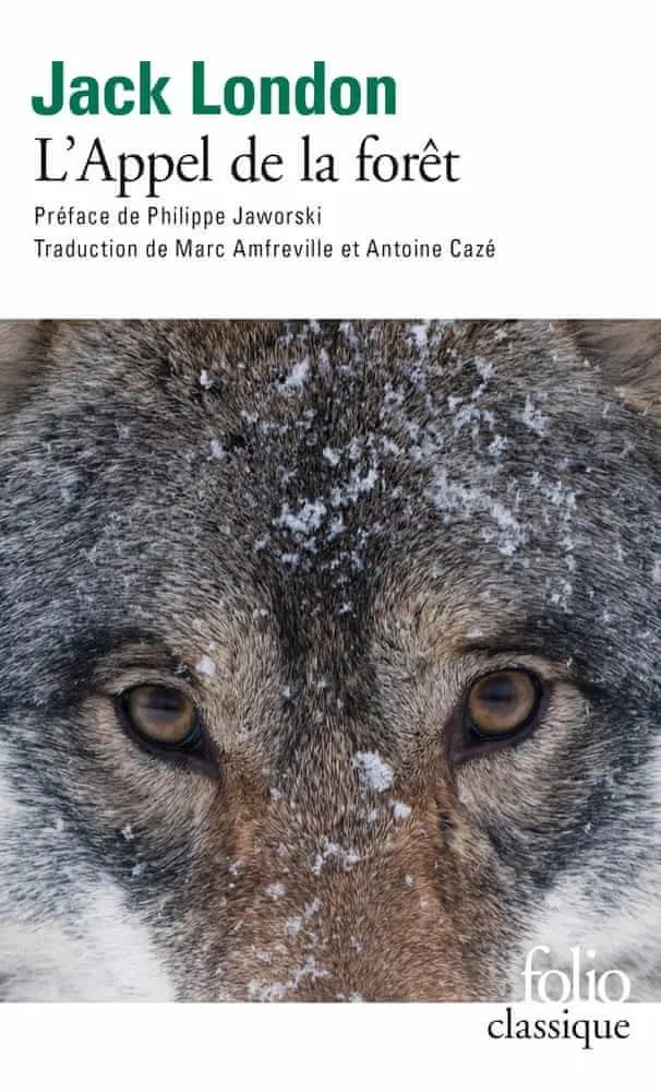 Jack London: L'Appel de la forêt (French language, 2020, Folio)