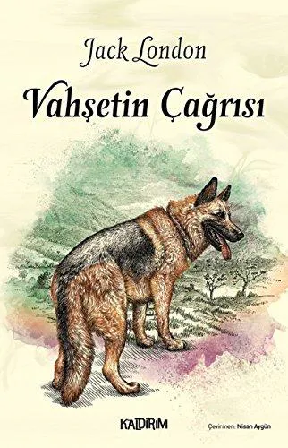 Jack London: Vahşetin Çağrısı (Turkish language, 2017)